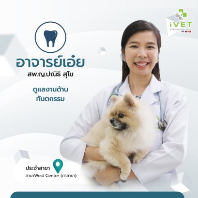 สพ.ญ.ปณิธิ สุโข ( หมอเอ่ย )